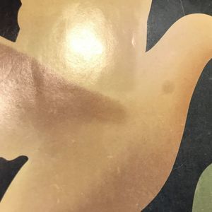 Meet your Posher, Maddie